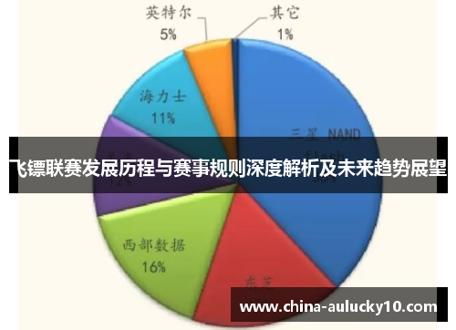 飞镖联赛发展历程与赛事规则深度解析及未来趋势展望