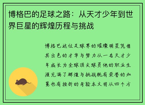 博格巴的足球之路：从天才少年到世界巨星的辉煌历程与挑战